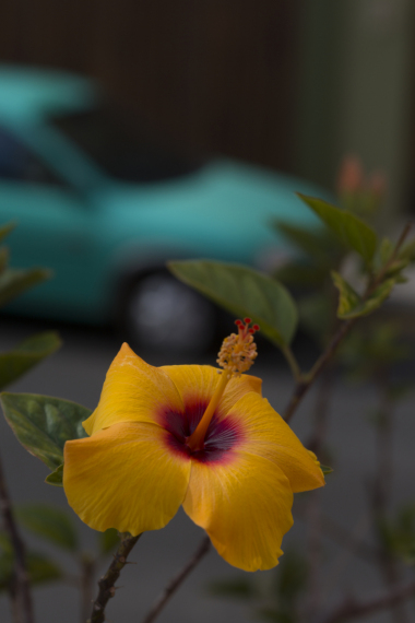 DSC09454