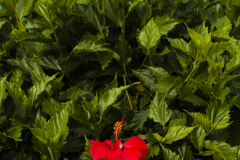DSC08789