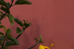 DSC09426
