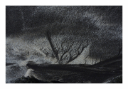la-niebla-persistente-el-bosque-en-llamas-scaled