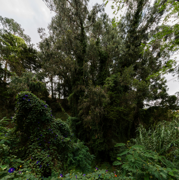 FE-16-35mm-F2.8-GM-7R301135-Pano