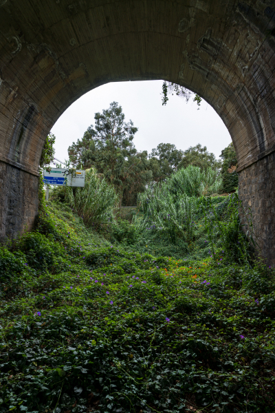 FE-16-35mm-F2.8-GM-7R301141