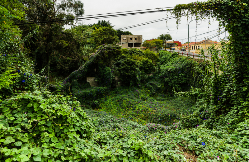 FE-16-35mm-F2.8-GM7R303083