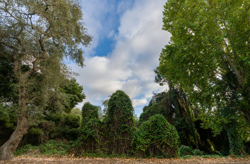 FE-16-35mm-F2.8-GM7R303315