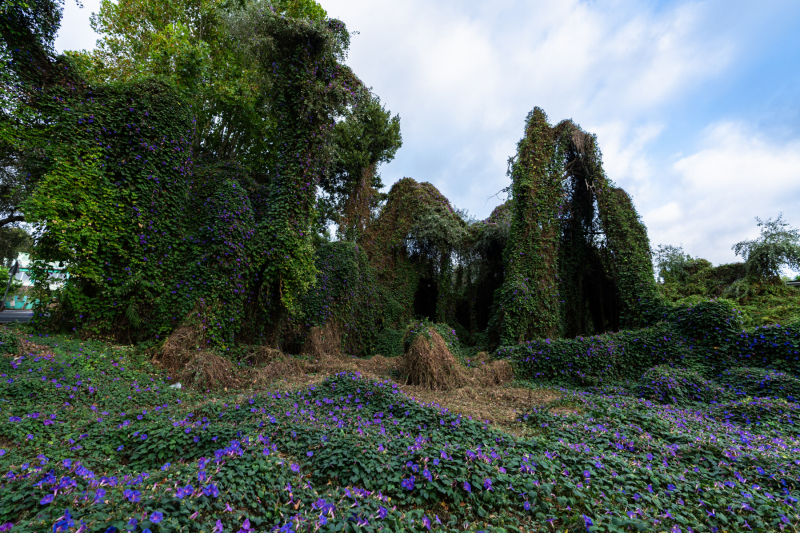 FE-16-35mm-F2.8-GM7R303331