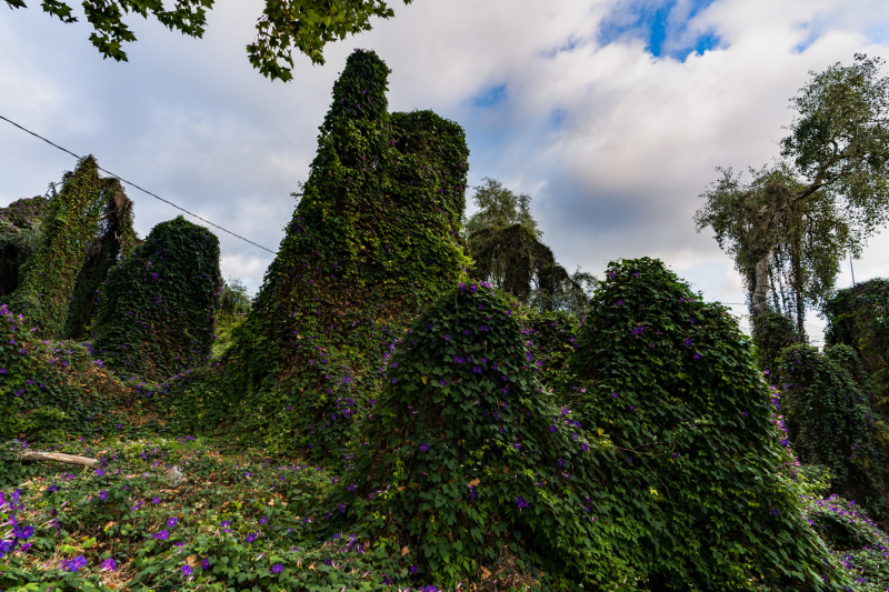 FE-16-35mm-F2.8-GM7R303334
