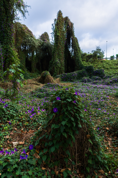 FE-16-35mm-F2.8-GM7R303337