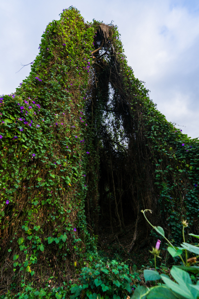 FE-16-35mm-F2.8-GM7R303342