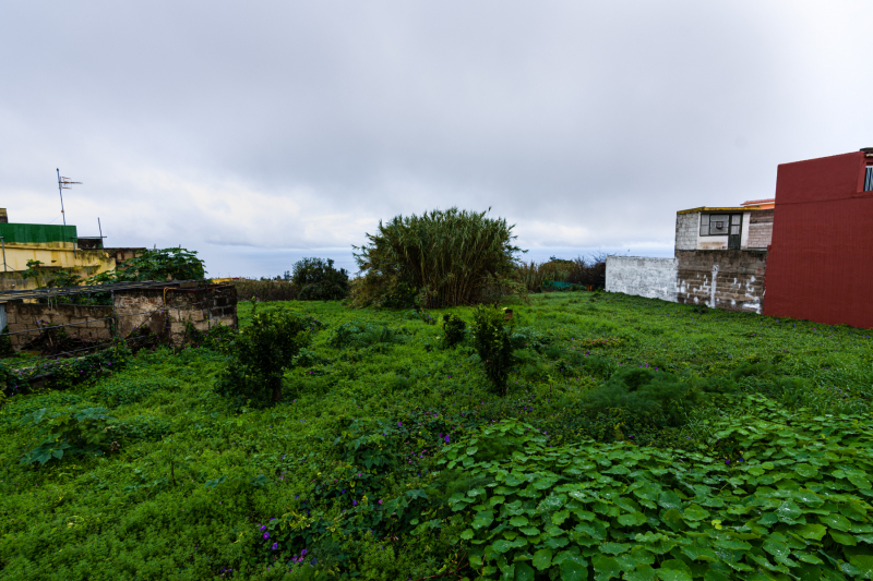 FE-16-35mm-F2.8-GM7R307789