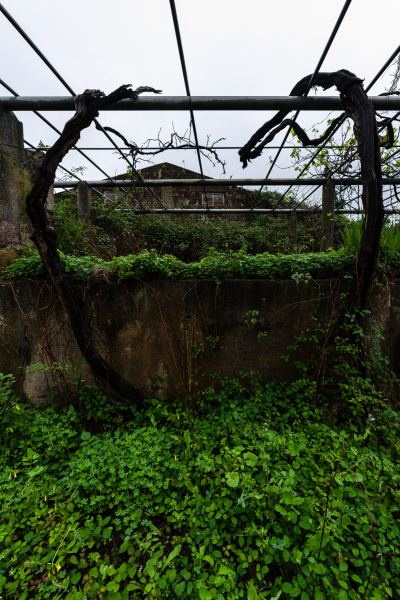 FE-16-35mm-F2.8-GM7R307795