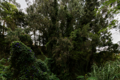 FE-16-35mm-F2.8-GM-7R301135-Pano