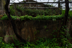 FE-16-35mm-F2.8-GM7R307795