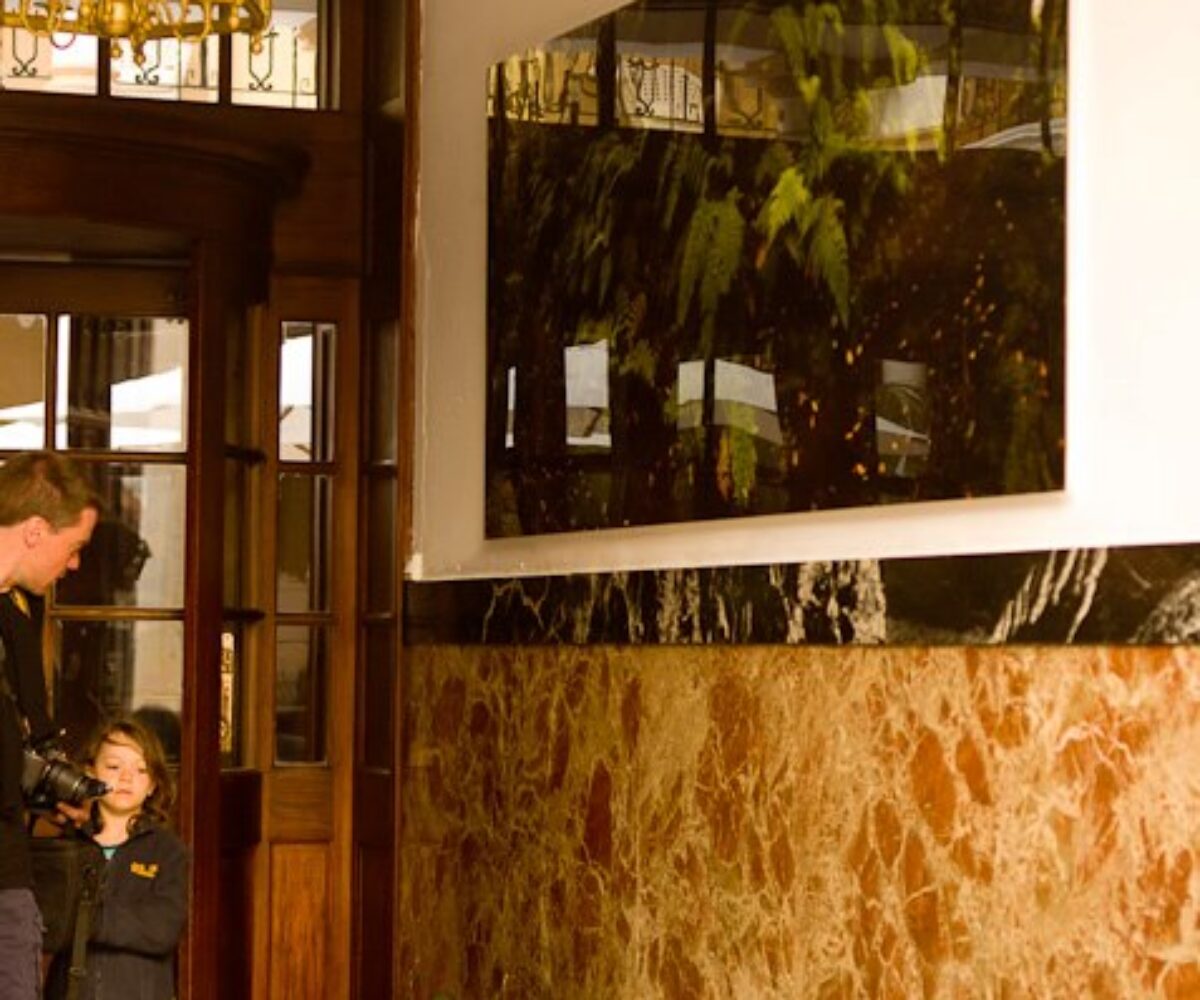 La Cámara viste las paredes de las salas de exposición de Canarias. 